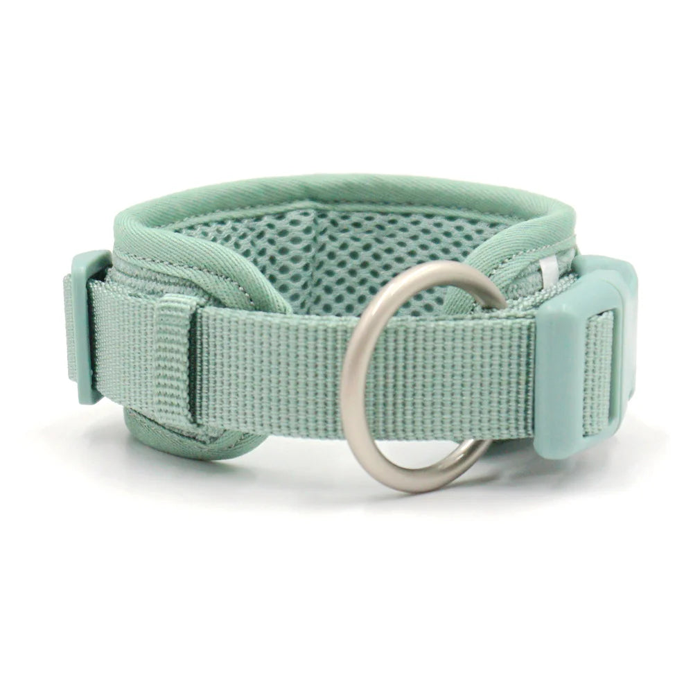 Harnais ou Ensemble personnalisable en velours pour chien Oscar et Plume