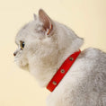 Bild in Galerie-Betrachter laden, Collier en cuir durable avec rivet pour chat Oscar et Plume
