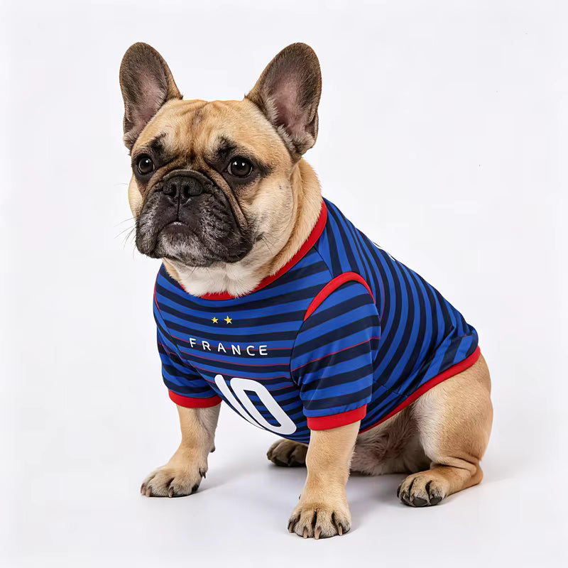 T-Shirt pour Chien aux couleurs de votre équipe préférée