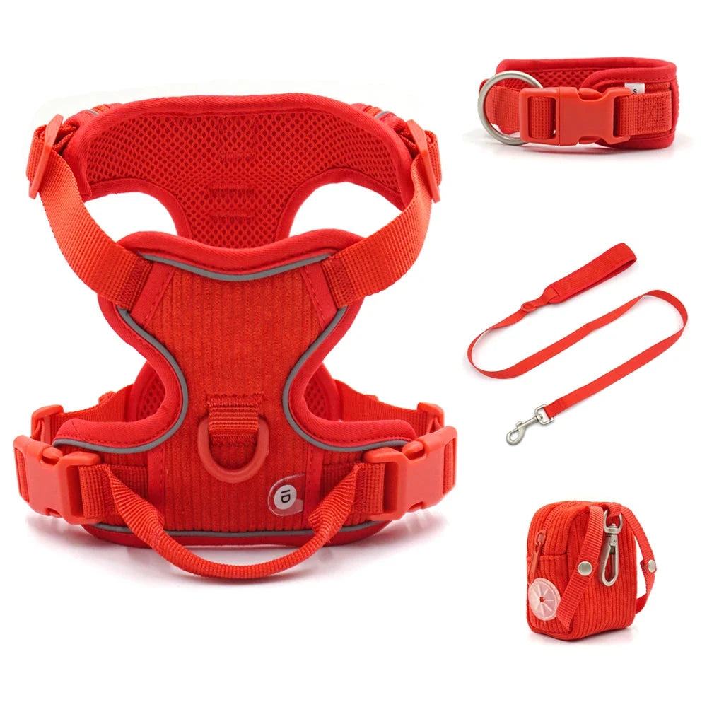 Harnais ou Ensemble personnalisable en velours pour chien Oscar et Plume Ensemble Rouge 4pcs / S