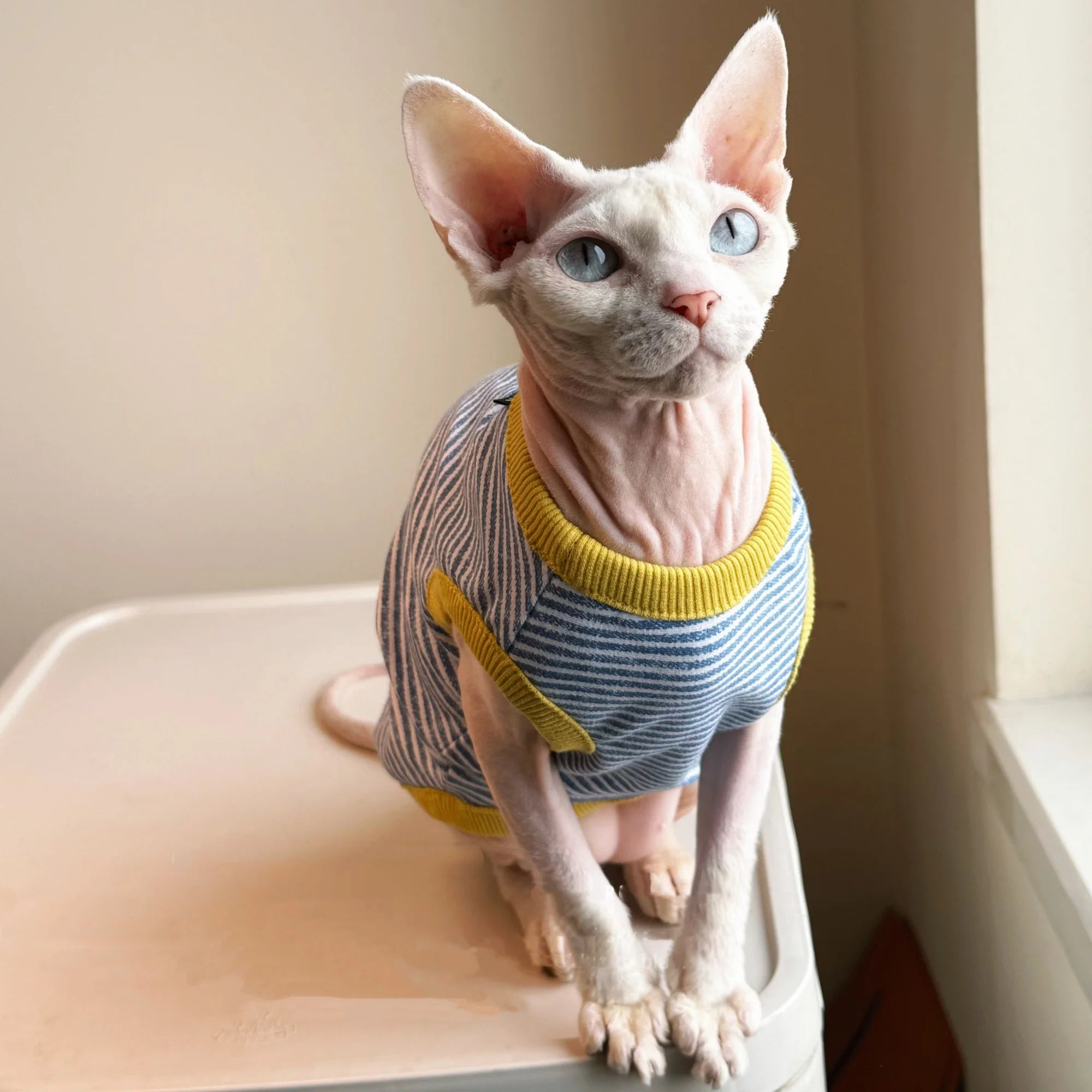 T Shirt Rayé  Pour Chat  En Coton Doux Sans Manches