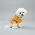 Charger l'image dans la visionneuse de la galerie, Pull pour Animaux de Compagnie Tricoté et Chaud pour Automne et Hiver Avec Col Roulé Élastique pour Chiens et Chats by Oscar et Plume
