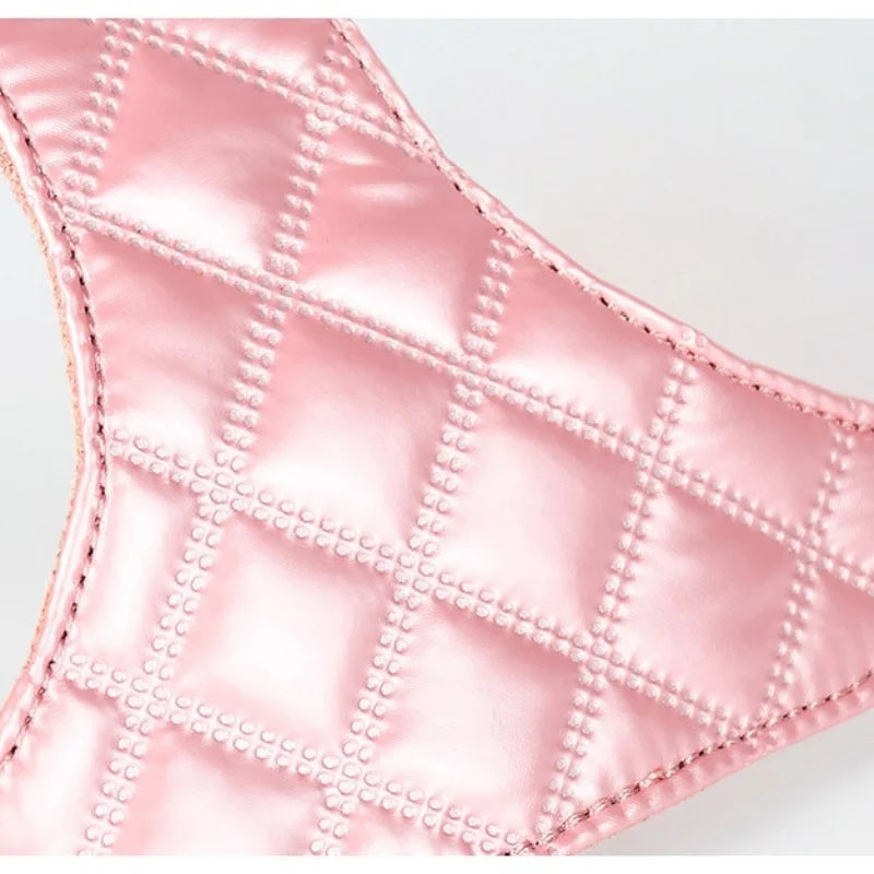 Harnais Avec ou Sans Laisse  Design Pour Chien