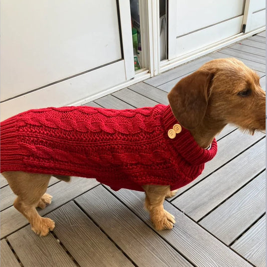 Pull col roulé pour petit chien