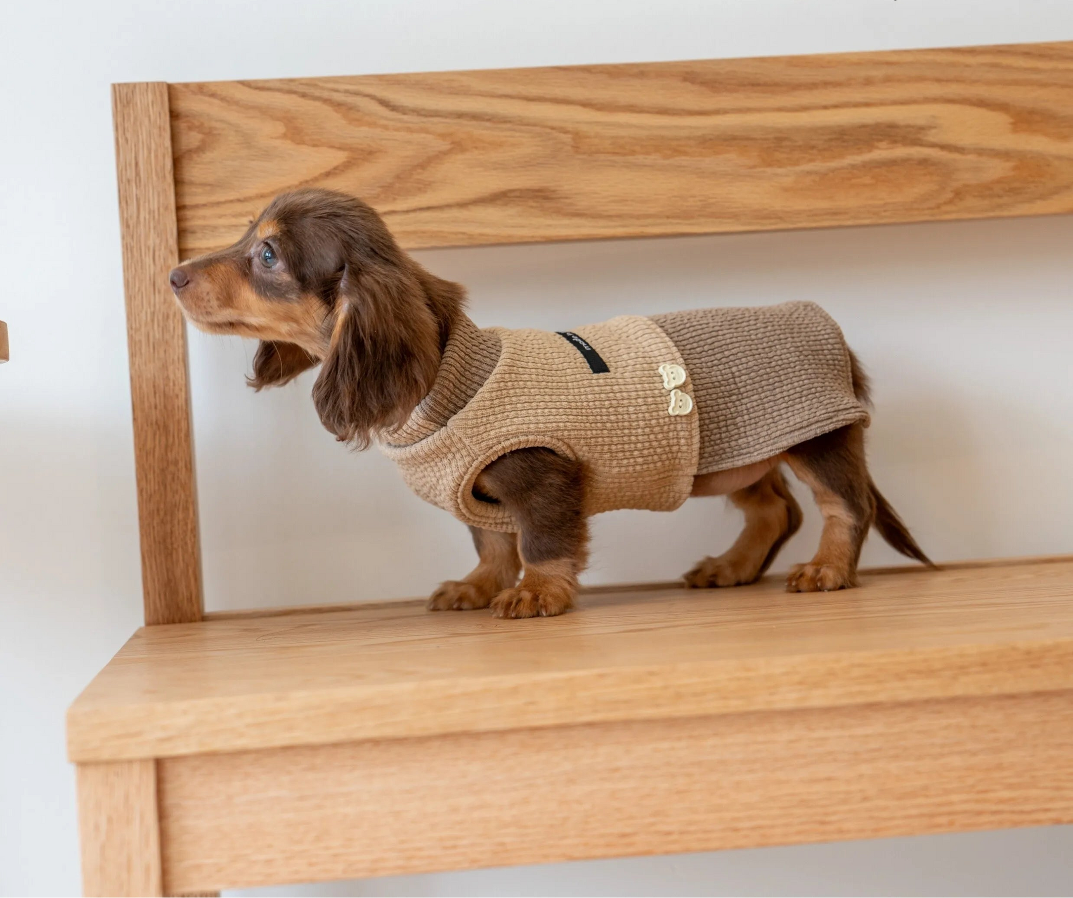 Sweat Sans Manche En Coton Pour Teckel