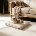 Cargar la imagen en la vista de la galería, Coussin Pour Chien Confortable Avec Housse Amovible
