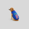 Carica l'immagine nel visualizzatore della galleria, Maillot Football Pour Chien En Maille Légère
