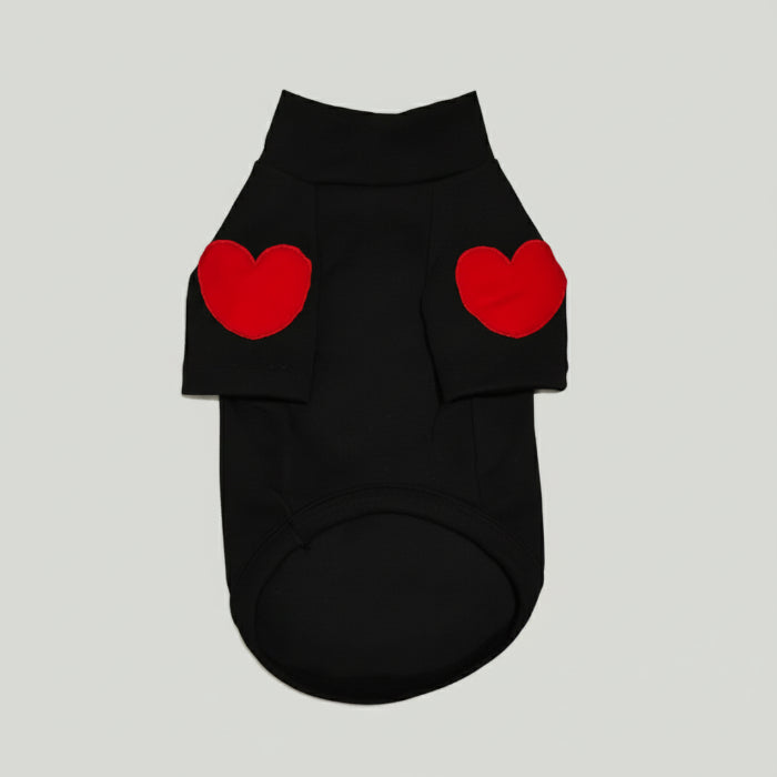 Winter sweater for small dog