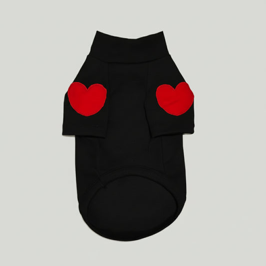 Winter sweater for small dog