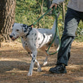 Load image into Gallery viewer, Laisse Pour Chien En Cuir Mains Libres Double Poignée
