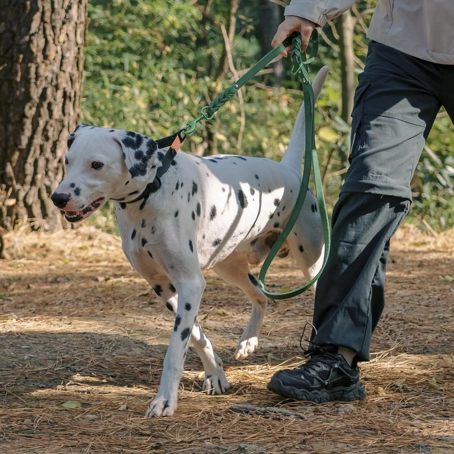 Laisse Pour Chien En Cuir Mains Libres Double Poignée