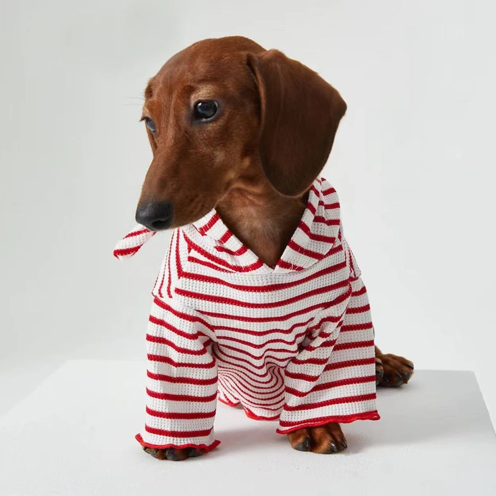 Tee-shirt à Capuche  Rayé Pour Chiens Teckel