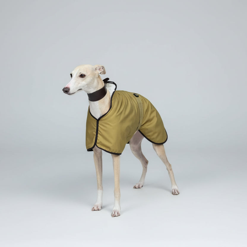 Imperméable En Polaire Doux Et Chaud Pour Lévrier Et Whippet