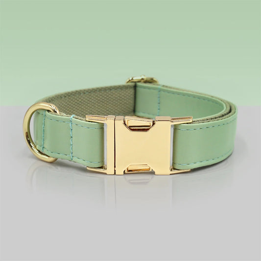 Ensemble Collier et laisse en cuir durable personnalisable pour chien Oscar et Plume Collier / XS