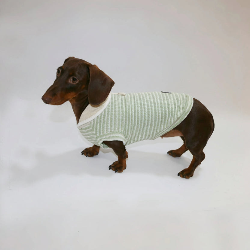 T-shirt Rayé Sans Manche Pour Chien Teckel