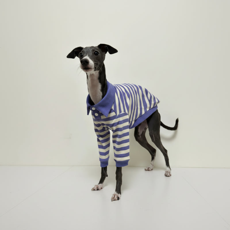 Polo Rayé En Coton Pour Chien Lévrier Et Whippet
