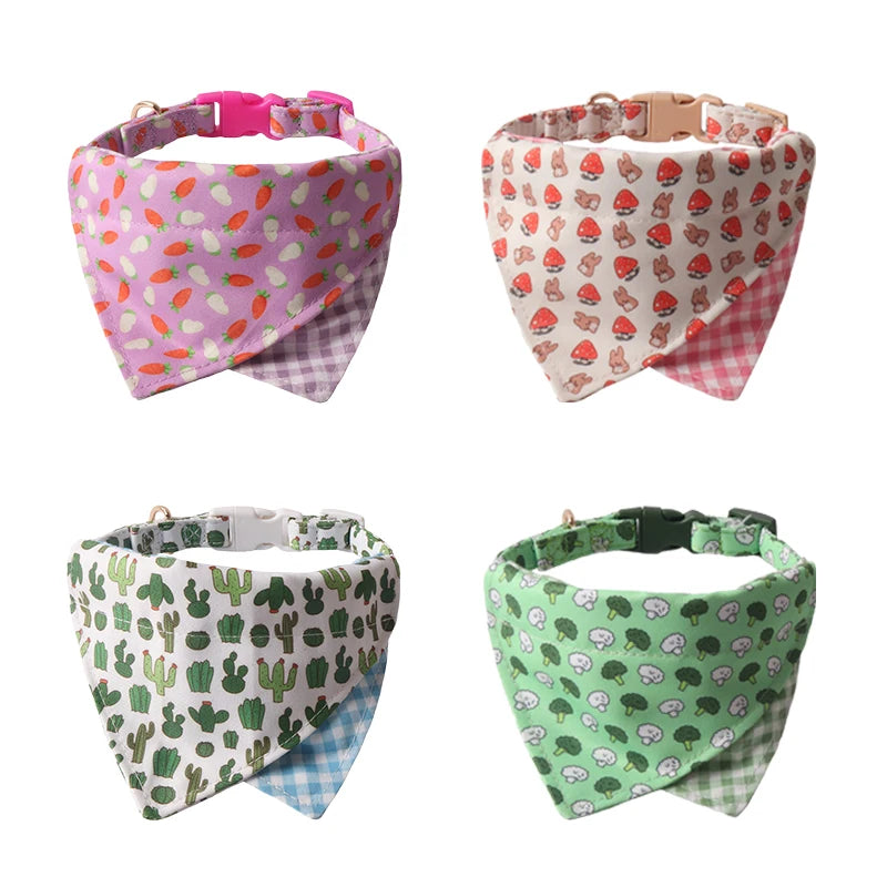 Bandana et collier assorti pour petit et moyen chien