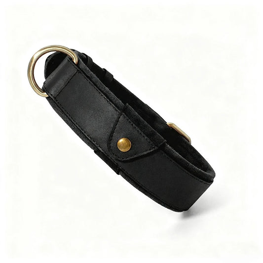 Collier En Cuir Avec Emplacement AirTag Pour Chien
