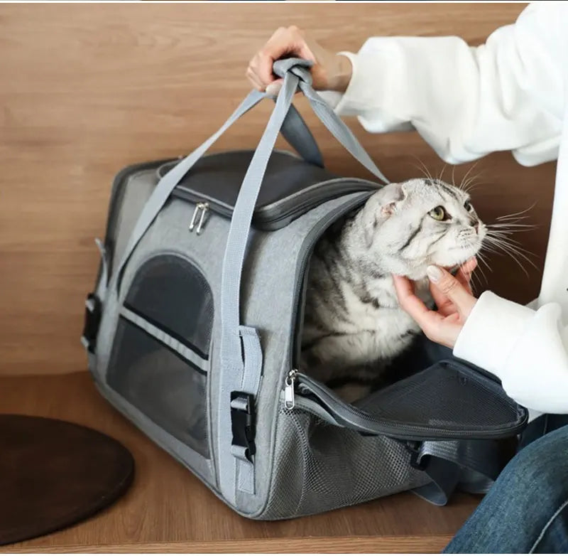 Sac Transport Pliable Maille Respirante Voyage Pour Chat Et Chien