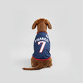 Carica l'immagine nel visualizzatore della galleria, Maillot Football Pour Chien En Maille Légère
