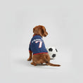 Carica l'immagine nel visualizzatore della galleria, Maillot Football Pour Chien En Maille Légère
