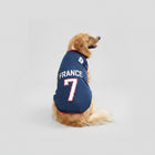 Maillot Football Pour Chien En Maille Légère