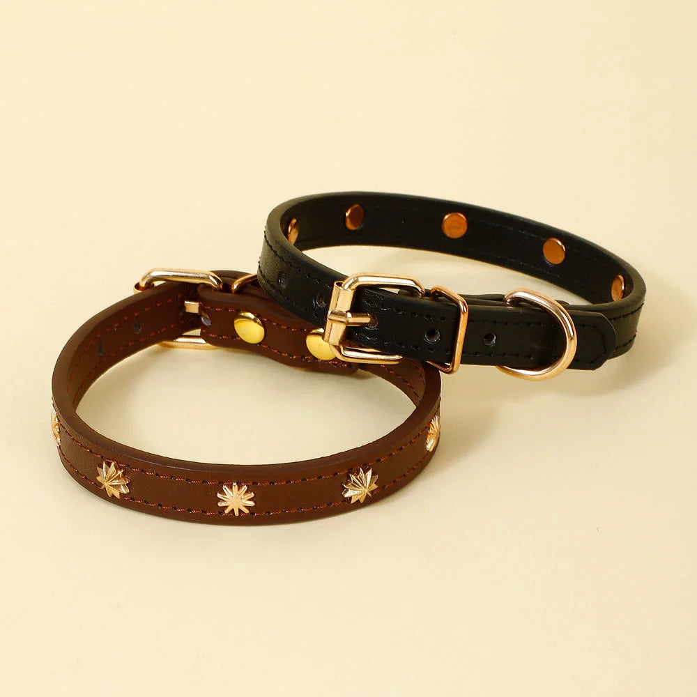 Collier en cuir durable avec rivet pour chat Oscar et Plume