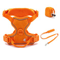 Charger l'image dans la visionneuse de la galerie, Harnais ou Ensemble personnalisable en velours pour chien Oscar et Plume Ensemble Orange 3pcs / S
