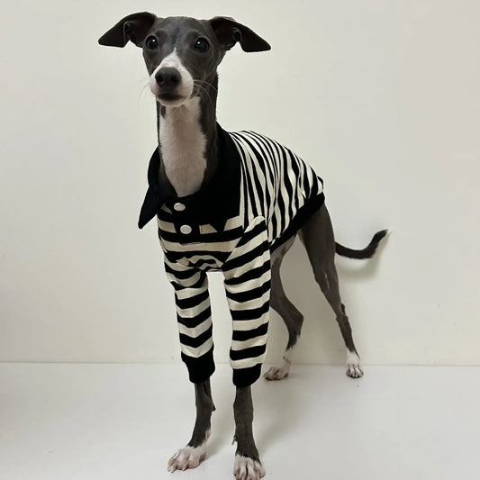 Polo En Coton Rayé Pour Lévrier Et Whippet