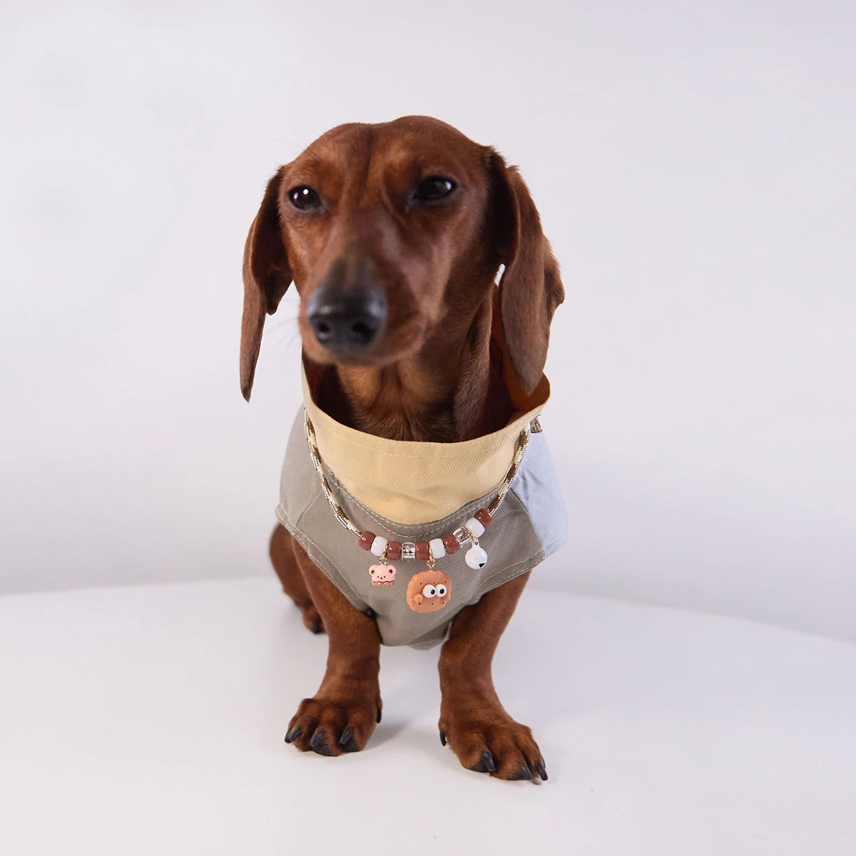 Veste Sans Manches Pour Chien