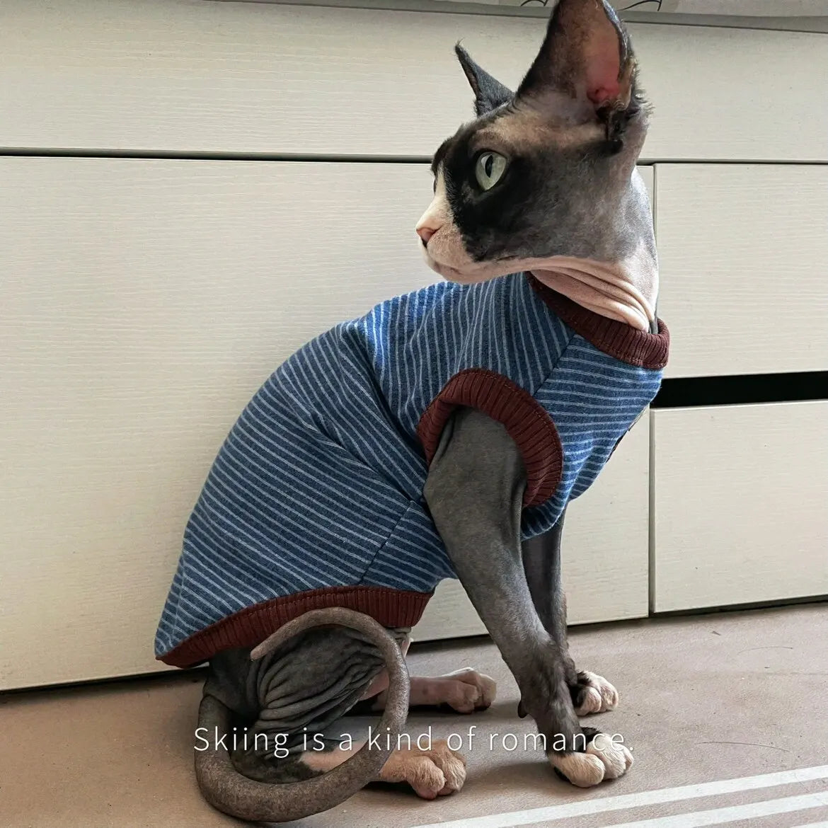 T Shirt Rayé  Pour Chat  En Coton Doux Sans Manches