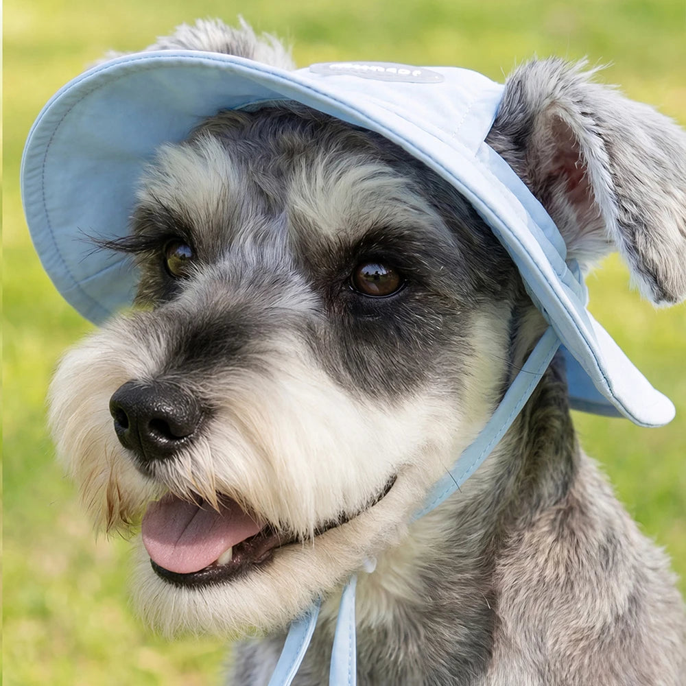 Ensemble T-Shirt Refroidissant Respirant Pour Chiens  Avec Casquette
