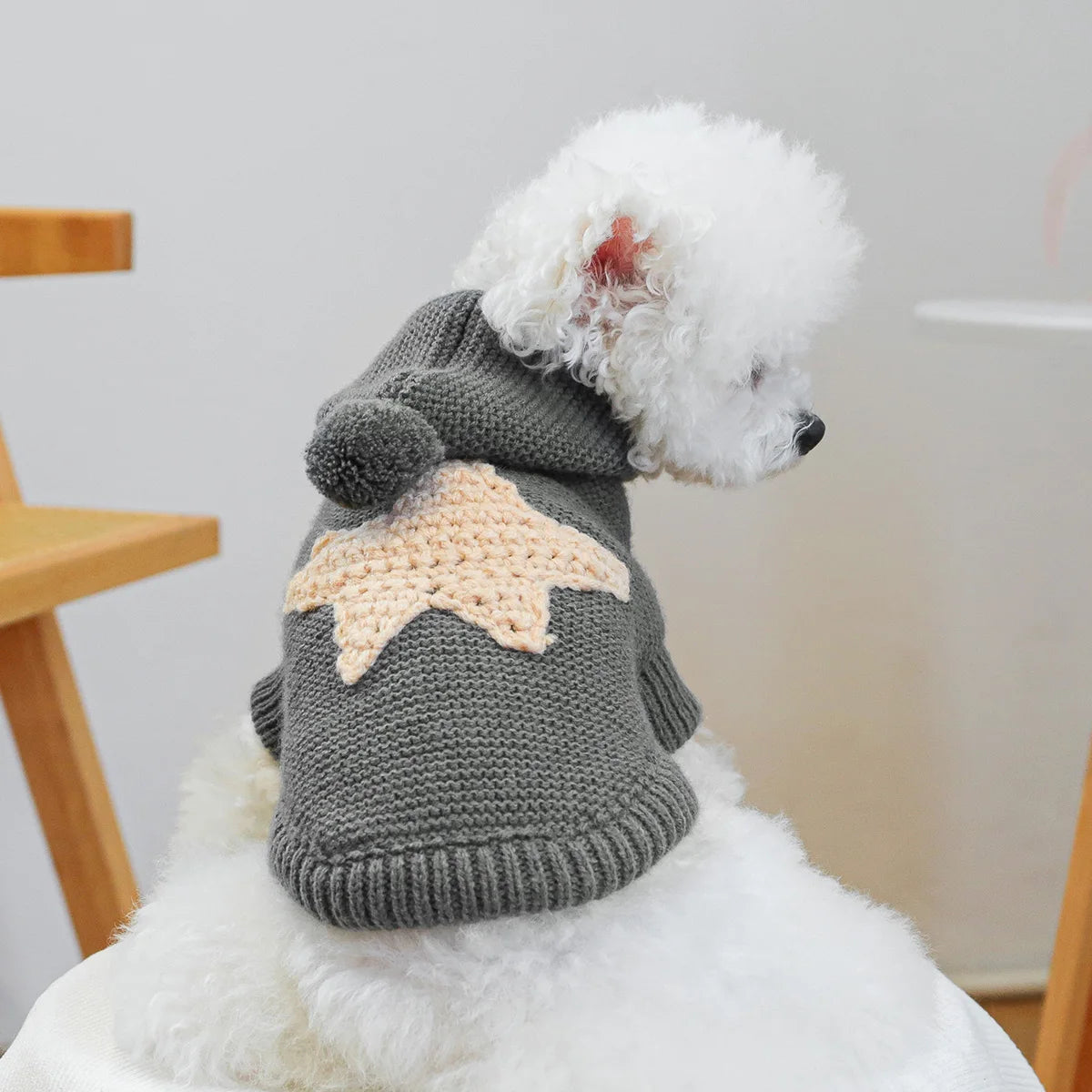 Pull pour chien gris foncé à capuche, étoile beige nordique sur le dos, vêtement automne