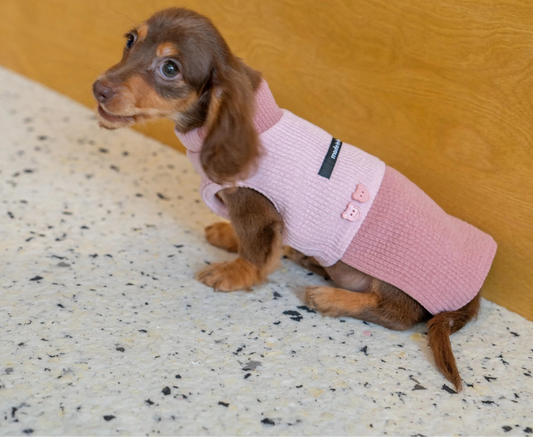 Sweat Sans Manche En Coton Pour Teckel