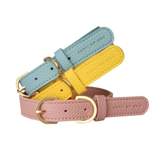 Ensemble collier et laisse en cuir durable pour chiot et petit chien Oscar et Plume Collier bleu / S