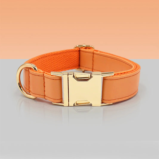 Ensemble Collier en cuir durable personnalisable, laisse et distributeur de sac pour chien Oscar et Plume Collier / XS