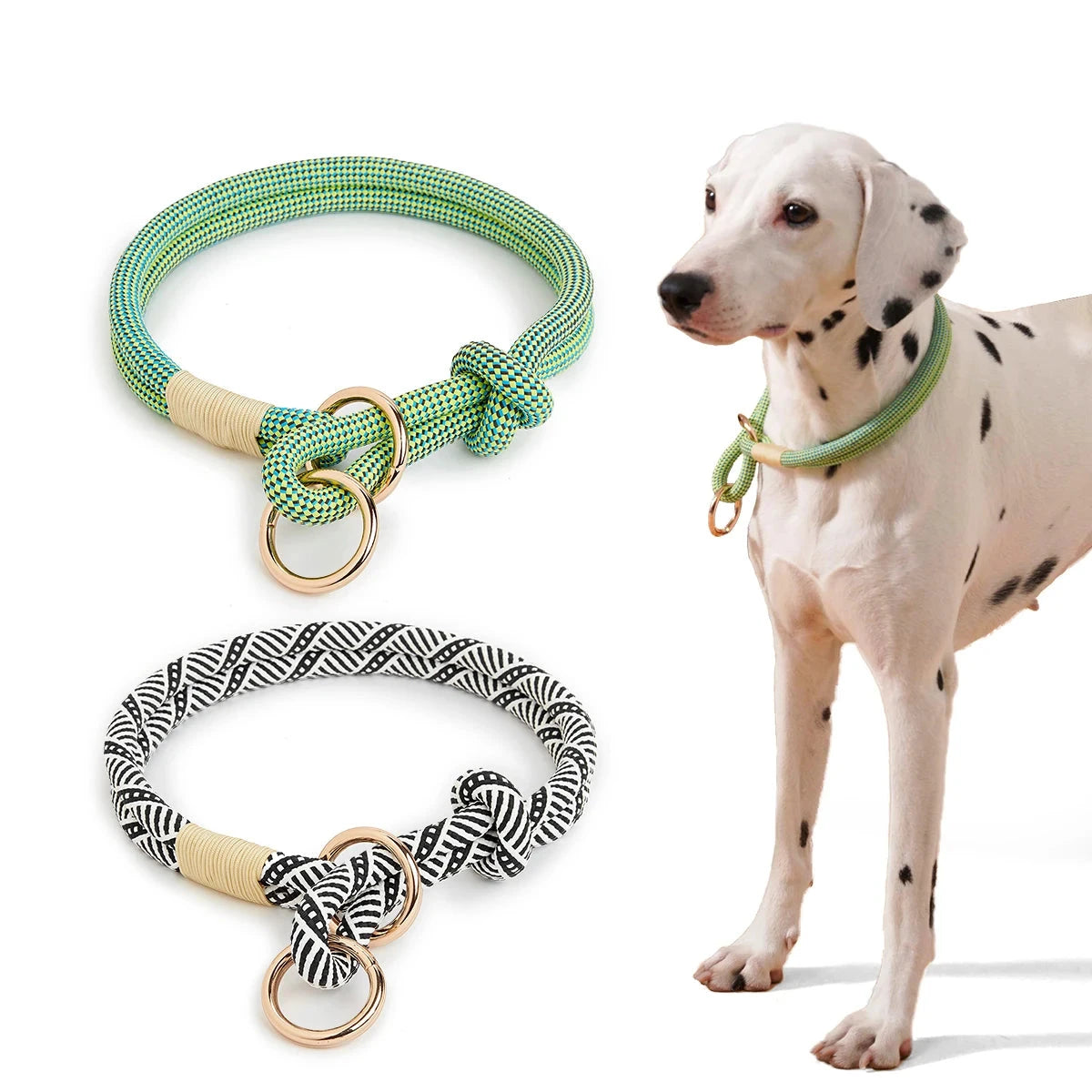 Collier réglable coulissant en nylon pour chien Oscar et Plume