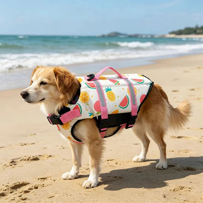 Gilet de Sauvetage Réfléchissant Réglable pour Chiens