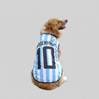 Maillot Football Pour Chien En Maille Légère