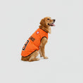 Carica l'immagine nel visualizzatore della galleria, Maillot Football Pour Chien En Maille Légère
