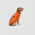 Maillot Football Pour Chien En Maille Légère