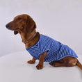 Carica l'immagine nel visualizzatore della galleria, T Shirt Rayé Manches Courtes Pour Chien Teckel
