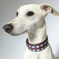 Charger l'image dans la visionneuse de la galerie, Collier Large Pour Chien Damier Multicolore En Cuir Véritable
