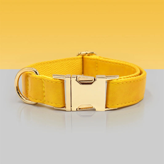 Ensemble Collier en cuir durable personnalisable, laisse et distributeur de sac pour chien Oscar et Plume Collier / XS