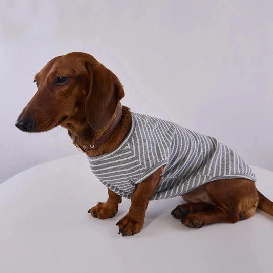 T Shirt Rayé Manches Courtes Pour Chien Teckel