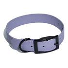 Collier Imperméable pour Chien