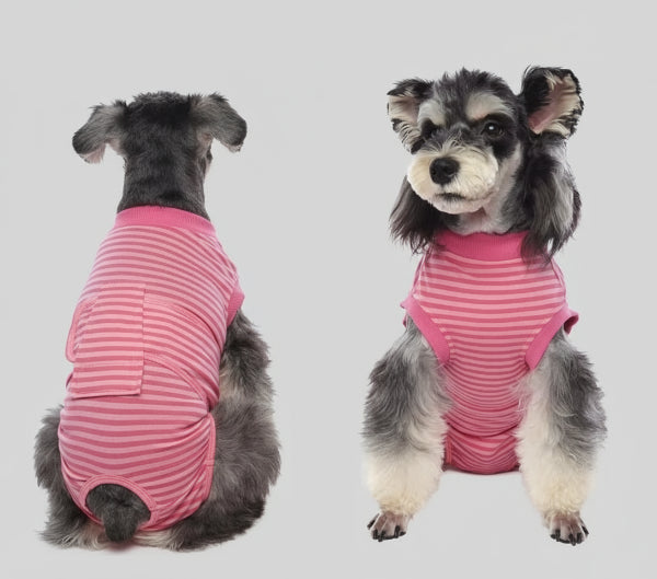 Chien portant un t-shirt post opératoire chien rose rayé conçu par Oscar et Plume pour protection après chirurgie