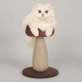 Charger l'image dans la visionneuse de la galerie, Chat blanc angora perché sur un arbre à chat champignon Oscar et Plume en sisal et coussin brun
