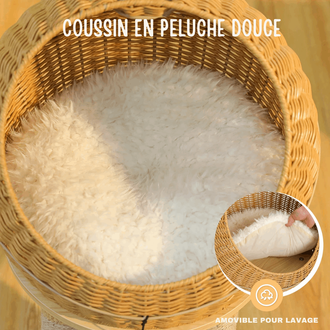 Collier décoratif pour chat avec broderie colorée, idéal pour un arbre à chat
