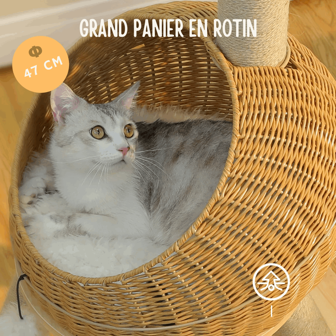 Grand panier en rotin de 47 cm pour chat avec coussin confort, idéal pour un arbre à chat.